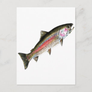 CARTE POSTALE LE PUR