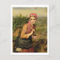 Le ramasseur de fougères