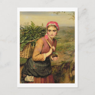 Carte Postale Le ramasseur de fougères
