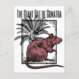 Carte Postale Le Rat géant de Sumatra Holmesian Sherlock Holmes