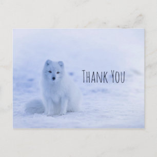 Carte Postale Le renard arctique mou sur le Merci de neige