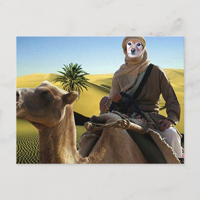Carte Postale Le renard est Lawrence d'Arabie (Devant)