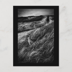 Carte Postale Le Rendez-vous d'Alice Wonderland