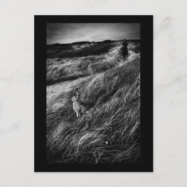 Carte Postale Le Rendez-vous d'Alice Wonderland (Devant)