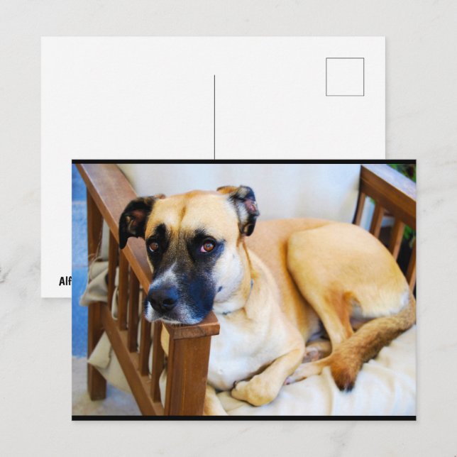 Carte Postale Le Repos du Veilleur (Devant / Derrière)