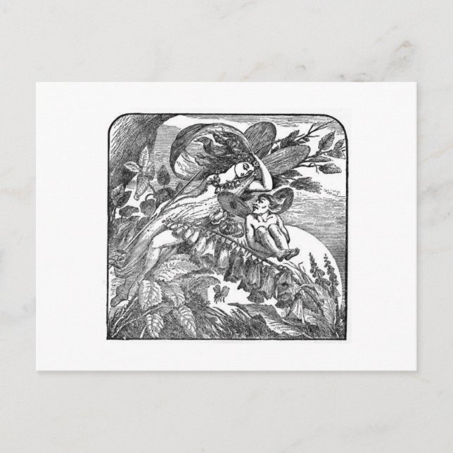 Carte Postale Le rêve d'une nuit d'été (Devant)