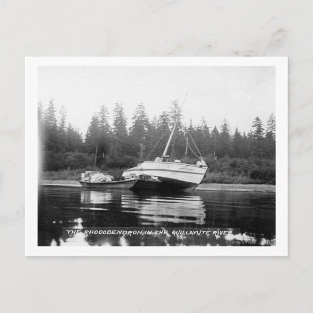 Carte Postale Le Rhododendron sur la rivière Quillayute (Devant)