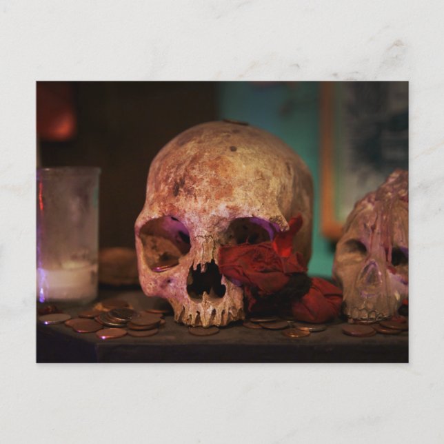 Carte Postale Le rituel vaudou (Devant)