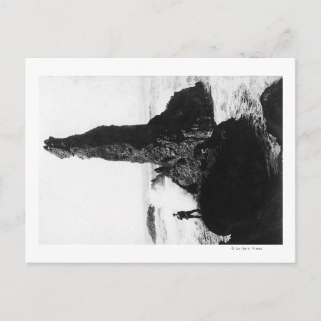 Carte Postale Le Rocher de la Duchesse à Newport, Oregon (Devant)