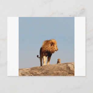 Carte Postale Le Roi Lion (Lion Adulte et Cub)