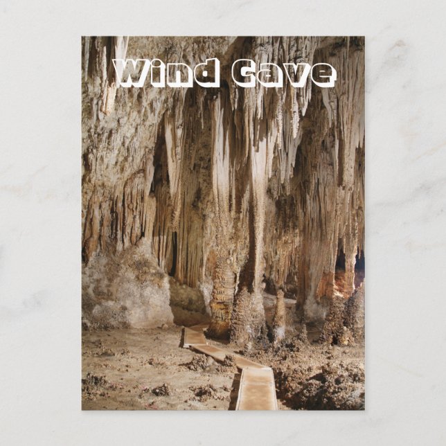 Carte Postale Le Rookery, Parc national de Wind Cave, SD (Devant)