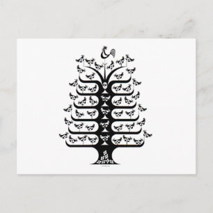 Carte Postale Le Rooster gouverne la racine