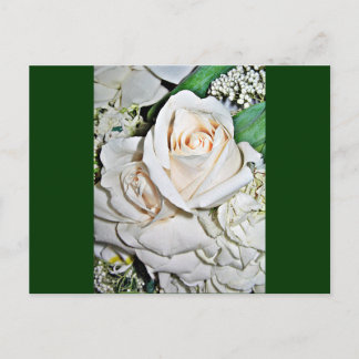 Carte Postale Le Rose_