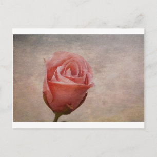 Carte Postale Le Rose