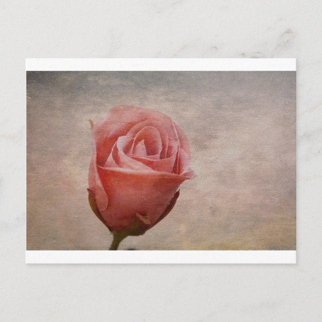 Carte Postale Le Rose (Devant)