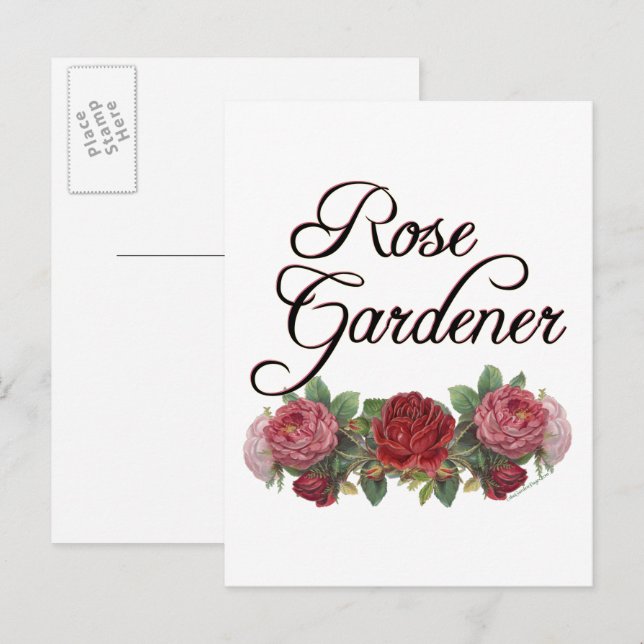 Carte Postale Le rose Gardener dit avec des Roses (Devant / Derrière)