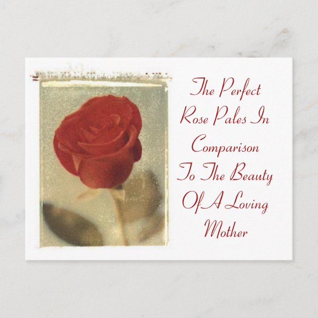 Carte Postale Le Rose parfait contre la mère (Devant)