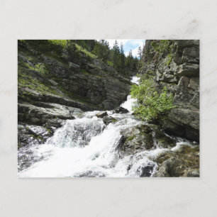 Carte Postale Le ruisseau Aster dans le parc national Glacier