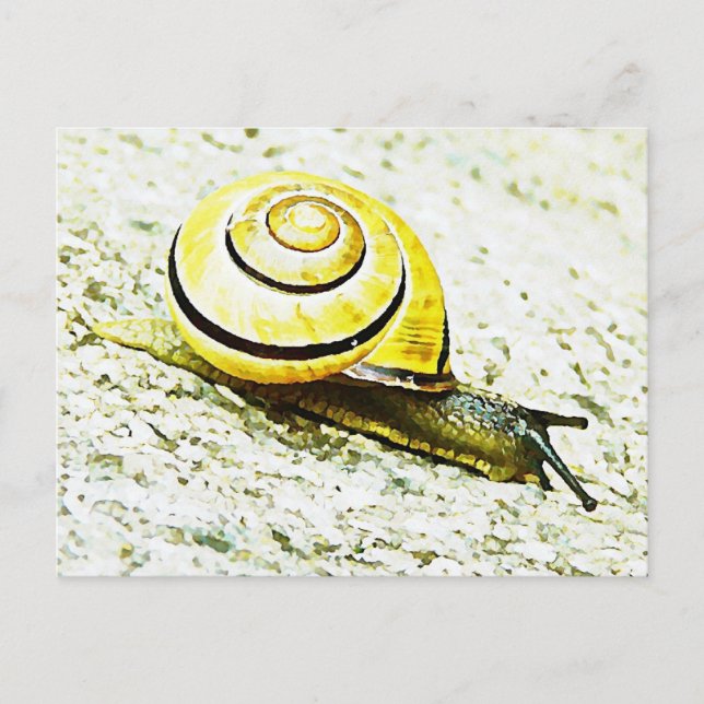 Carte Postale Le rythme de l'escargot (Devant)