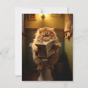 Carte Postale Le sanctuaire d'un philosophe   Le Daily Digest