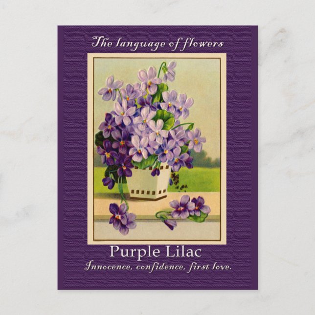 Carte Postale Le sens du Lilac (Devant)