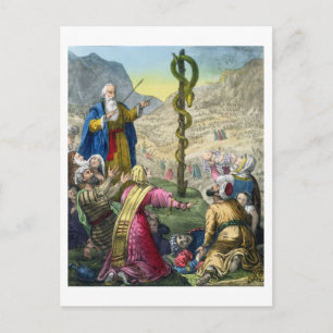Carte Postale Le serpent brésilien, d'une bible imprimée par Edw