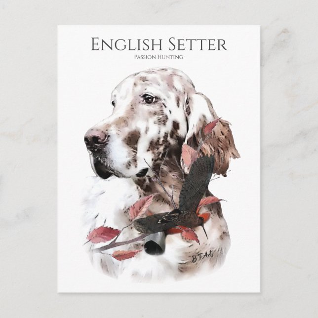Carte Postale Le Setter anglais, la chasse à la passion (Devant)