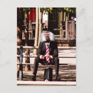 Carte Postale Le singe humain