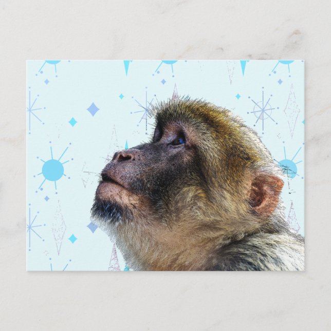 Carte Postale Le singe regarde le papier peint du milieu du sièc (Devant)