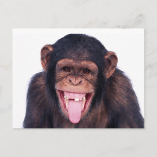 Carte Postale Le singe riant