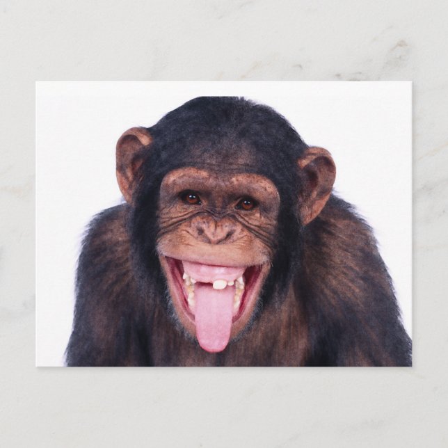 Carte Postale Le singe riant (Devant)