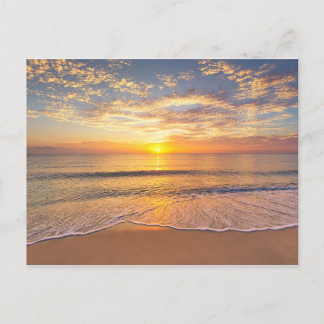 Carte Postale Le soleil du matin en bord de mer (Devant)