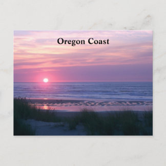 Carte Postale le soleil se fixe rose