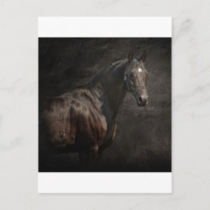 Carte Postale Le solitaire