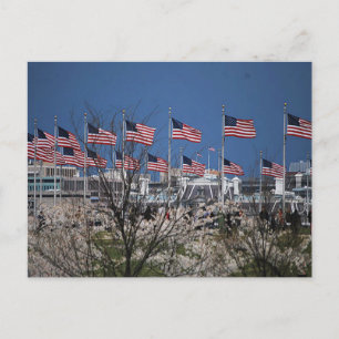 Carte Postale Le souffle des drapeaux sur les fonds propres