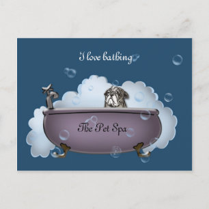 Carte Postale Le Spa pour animaux