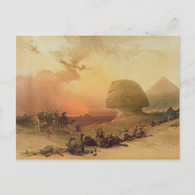 Carte Postale Le Sphinx à Giza (Devant)