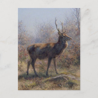Carte Postale Le Stag de Rosa Bonheur