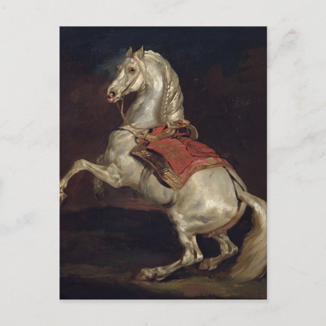 Carte Postale Le Stallion de Napoléon, Tamerlan (Devant)