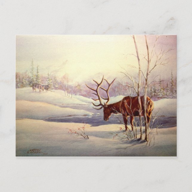 Carte Postale LE STANDOFF by SHARON SHARPE (Devant)