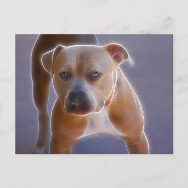 Carte Postale Le statu quo (Devant)