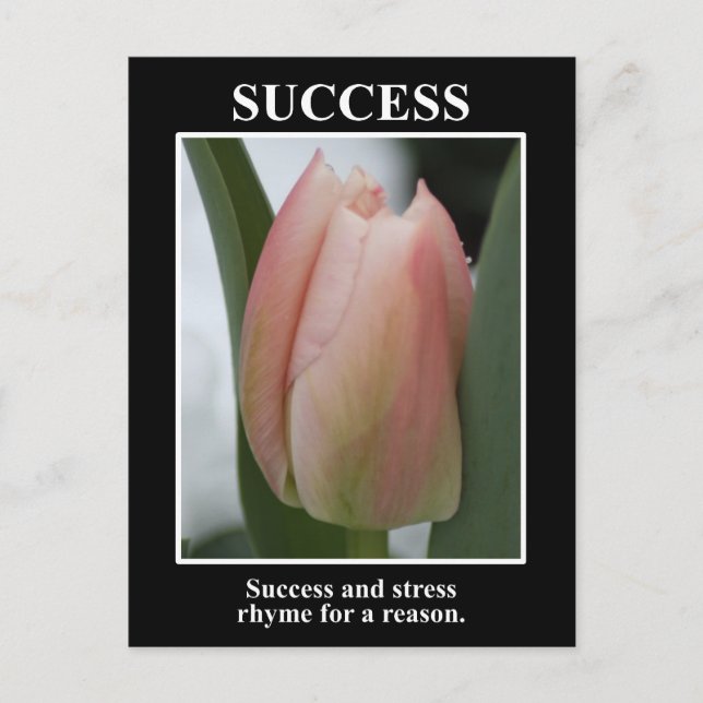 Carte Postale Le succès rime avec le stress pour une raison (Devant)