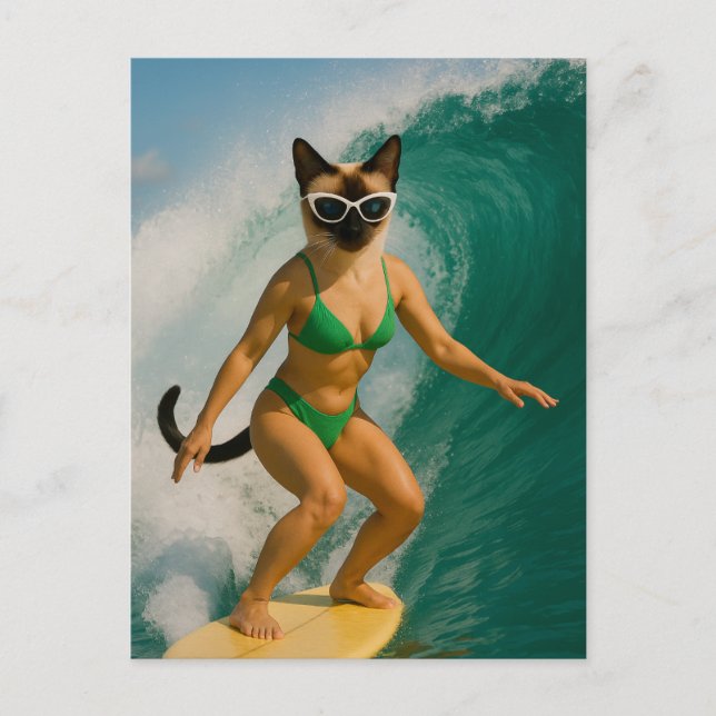 Carte Postale Le surf à thème pour les Amoureux de les chats sia (Devant)