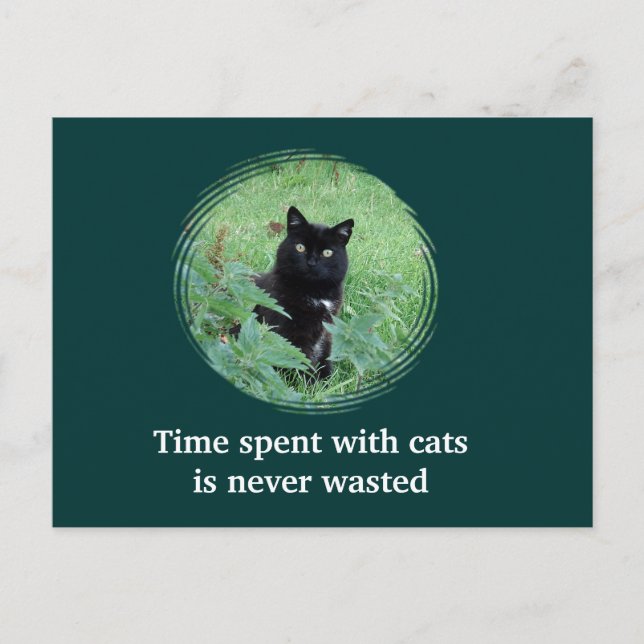 Carte postale : Le temps passé avec les chats n'es (Devant)