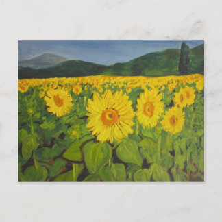 Carte Postale Le terrain de tournesol