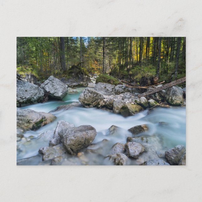 Carte Postale Le torrent Ramsauer Ache (Devant)