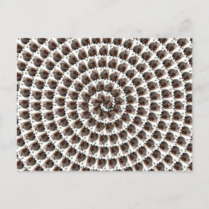 Carte Postale Le tourbillon de Wombat : une spirale de merveille