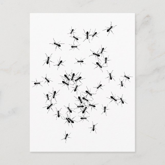 Carte Postale Le Travail d'équipe (Devant)