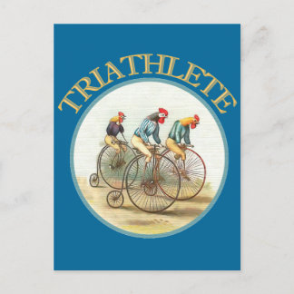 Carte Postale Le triathlon des poulets