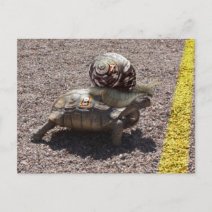 Carte Postale Le tricheur